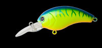 137 Blue Chartreuse Tiger(Rattle)