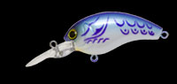 100 Purple Threadfin(Rattle)