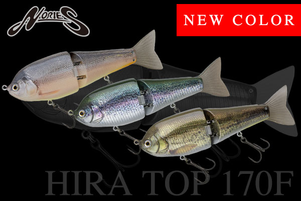 新色 HIRA TOP 170F | INFORMATION | NORIES
