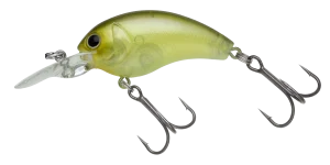 新色 WORMING CRANK SHOT | INFORMATION | NORIES
