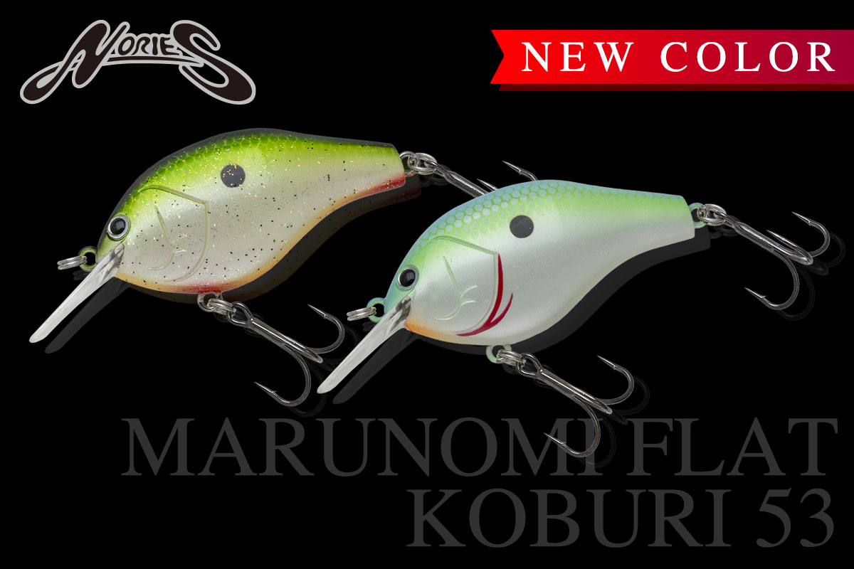 新色 MARUNOMI FLAT KOBURI 53 | INFORMATION | NORIES